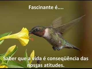 Saber que a vida é conseqüência das nossas atitudes.   Fascinante é.... 