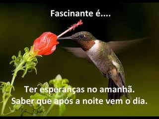 Ter esperanças no amanhã. Saber que após a noite vem o dia.   Fascinante é.... 