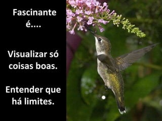 Visualizar só coisas boas. Entender que há limites.   Fascinante é.... 