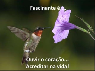   Fascinante é.... Ouvir o coração... Acreditar na vida! 