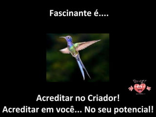   Fascinante é.... Acreditar no Criador! Acreditar em você... No seu potencial! 