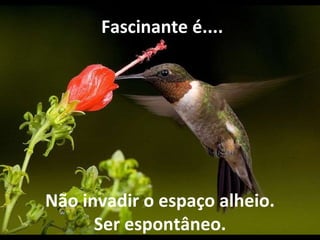 Não invadir o espaço alheio. Ser espontâneo.   Fascinante é.... 