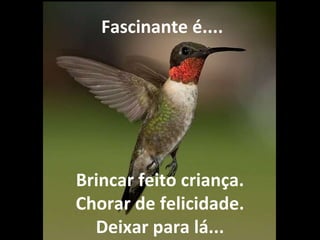   Fascinante é.... Brincar feito criança. Chorar de felicidade. Deixar para lá... 