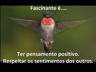 Ter pensamento positivo. Respeitar os sentimentos dos outros.   Fascinante é.... 