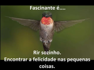   Fascinante é.... Rir sozinho. Encontrar a felicidade nas pequenas coisas. 