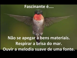   Fascinante é.... Não se apegar a bens materiais. Respirar a brisa do mar. Ouvir a melodia suave de uma fonte. 