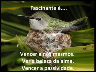   Fascinante é.... Vencer a nós mesmos.  Ver a beleza da alma. Vencer a passividade. 