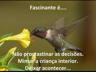   Fascinante é.... Não procrastinar as decisões. Mimar a criança interior. Deixar acontecer... 