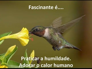   Fascinante é.... Praticar a humildade. Adorar o calor humano 
