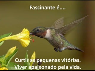   Fascinante é.... Curtir as pequenas vitórias. Viver apaixonado pela vida. 