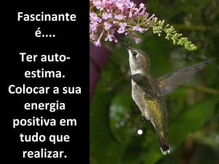  Fascinante é.... Ter auto-estima. Colocar a sua energia positiva em tudo que realizar. 