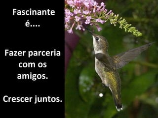   Fascinante é.... Fazer parceria com os amigos. Crescer juntos. 
