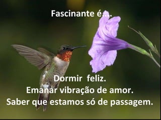 Dormir  feliz. Emanar vibração de amor. Saber que estamos só de passagem.   Fascinante é.... 
