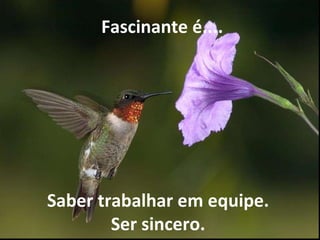   Fascinante é.... Saber trabalhar em equipe. Ser sincero. 