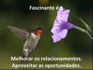   Fascinante é.... Melhorar os relacionamentos. Aproveitar as oportunidades. 