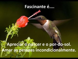   Fascinante é.... Apreciar o nascer e o por-do-sol. Amar as pessoas incondicionalmente. 
