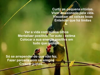 Curtir as pequena vitórias. Viver apaixonado pela vida. Visualizar só coisas boas Entender que há limites Ver a vida com outros olhos Mentalizar positivo. Ter auto - estima Colocar a sua energia positiva em tudo que realizar. Só se arrepender do que não fez. Fazer parceria com os amigos .   Crescer juntos.   