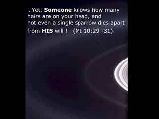 …Yet, Someone knows how many
hairs are on your head, and
not even a single sparrow dies apart
from HIS will ! (Mt 10:29 -31)
 