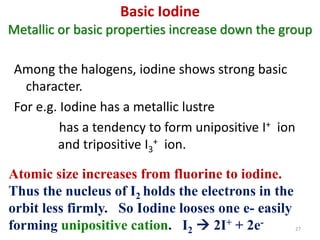 Basic Iodine
Metallic or basic properties increase down the group
Among the halogens, iodine shows strong basic
character.
For e.g. Iodine has a metallic lustre
has a tendency to form unipositive I+ ion
and tripositive I3
+ ion.
27
Atomic size increases from fluorine to iodine.
Thus the nucleus of I2 holds the electrons in the
orbit less firmly. So Iodine looses one e- easily
forming unipositive cation. I2  2I+ + 2e-
 