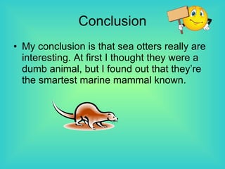 Conclusion My conclusion is that sea otters really are interesting. At first I thought they were a dumb animal, but I found out that they’re the smartest marine mammal known. 