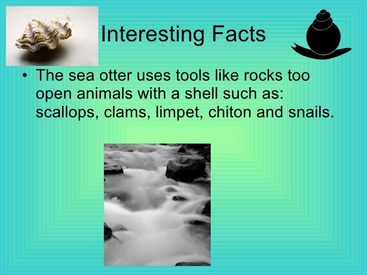 Fish facts