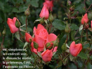 ou, simplement,  le vendredi soir,  le dimanche matin,  le printemps, l'été,  l'automne ou l'hiver,  