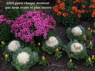 Ainsi passe chaque moment  que nous avons et plus encore :   