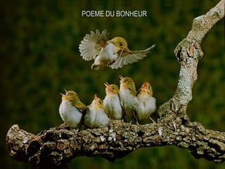 POEME DU BONHEUR
 