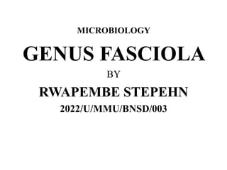 MICROBIOLOGY
GENUS FASCIOLA
BY
RWAPEMBE STEPEHN
2022/U/MMU/BNSD/003
 