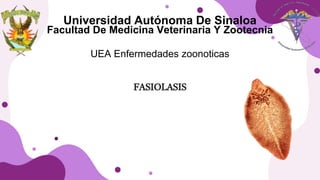 Universidad Autónoma De Sinaloa
Facultad De Medicina Veterinaria Y Zootecnia
UEA Enfermedades zoonoticas
FASIOLASIS
 