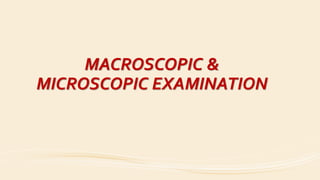 MACROSCOPIC &
MICROSCOPIC EXAMINATION
 