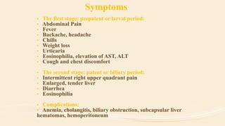 • The first stage: prepatent or larval period:
• Abdominal Pain
• Fever
• Backache, headache
• Chills
• Weight loss
• Urticaria
• Eosinophilia, elevation of AST, ALT
• Cough and chest discomfort
• The second stage: patent or biliary period:
• Intermittent right upper quadrant pain
• Enlarged, tender liver
• Diarrhea
• Eosinophilia
• Complications:
• Anemia, cholangitis, biliary obstruction, subcapsular liver
hematomas, hemoperitoneum
Symptoms
 