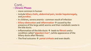 Cont..
• Chronic Phase:
• more common in human
• include biliary cholic, abdominal pain, tender hepatomegaly,
and jaundice.
• In children, severe anemia - common result of infection
• biliary obstruction and inflammation  caused by the
presence of the large adult worms and their metabolic waste in
the bile ducts.
• Inflammation of the bile ducts  leads to fibrosis and a
condition called "pipestem liver", (white appearance of the
biliary ducts after fibrosis).
• The final outcome  portal cirrhosis and even death.
 