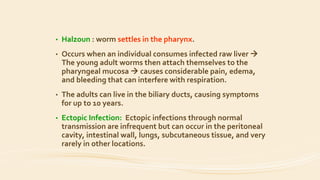 • Halzoun : worm settles in the pharynx.
• Occurs when an individual consumes infected raw liver 
The young adult worms then attach themselves to the
pharyngeal mucosa  causes considerable pain, edema,
and bleeding that can interfere with respiration.
• The adults can live in the biliary ducts, causing symptoms
for up to 10 years.
• Ectopic Infection: Ectopic infections through normal
transmission are infrequent but can occur in the peritoneal
cavity, intestinal wall, lungs, subcutaneous tissue, and very
rarely in other locations.
 