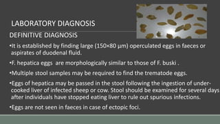 LABORATORY DIAGNOSIS
DEFINITIVE DIAGNOSIS
•It is established by finding large (150×80 µm) operculated eggs in faeces or
aspirates of duodenal fluid.
•F. hepatica eggs are morphologically similar to those of F. buski .
•Multiple stool samples may be required to find the trematode eggs.
•Eggs of hepatica may be passed in the stool following the ingestion of under-
cooked liver of infected sheep or cow. Stool should be examined for several days
after individuals have stopped eating liver to rule out spurious infections.
•Eggs are not seen in faeces in case of ectopic foci.
 