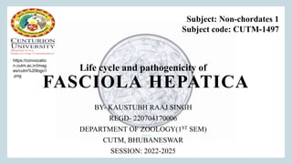FASCIOLA HEPATICA
BY- KAUSTUBH RAAJ SINGH
REGD- 220704170006
DEPARTMENT OF ZOOLOGY(1ST SEM)
CUTM, BHUBANESWAR
SESSION: 2022-2025
Life cycle and pathogenicity of
Subject: Non-chordates 1
Subject code: CUTM-1497
https://convocatio
n.cutm.ac.in/imag
es/cutm%20logo1
.png
 