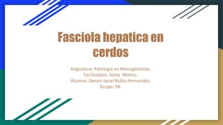 Fasciola hepatica en
cerdos
Asignatura: Patología en Monogástricos.
Facilitadora: Sonia Molina.
Alumno: Dervin Jasiel Rubio Hernandez.
Grupo: 5B.
 