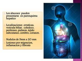 Los abscesos pueden 
presentarse en parenquima 
hepatico 
Localizaciones erraticas: 
vesicula biliar, coledoco, 
peritoneo, pulmon, tejido 
subcutaneo, cerebro, corazon. 
Nodulos de 5mm a 2O mm 
Lesiones por migracion, 
inflamacion y fibrosis 
 