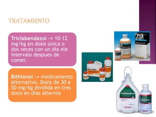 Triclabendazol -> 10-12 
mg/kg en dosis única o 
dos veces con un dia ele 
intervalo despues de 
comer. 
Bithionol -> medicamento 
alternativo. Dosis de 30 a 
50 mg/kg dividida en tres 
dosis en días alternos 
