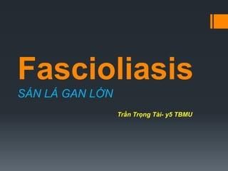 Fascioliasis
SÁN LÁ GAN LỚN
Trần Trọng Tài- y5 TBMU
 