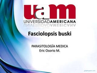 Fasciolopsis buski
PARASITOLOGÍA MEDICA
Eric Osorio M.
 