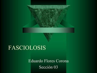 FASCIOLOSIS 
Eduardo Flores Corona 
Sección 03 
 