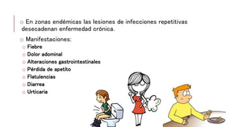 o En zonas endémicas las lesiones de infecciones repetitivas
desecadenan enfermedad crónica.
o Manifestaciones:
o Fiebre
o Dolor adominal
o Alteraciones gastrointestinales
o Pérdida de apetito
o Flatulencias
o Diarrea
o Urticaria
 
