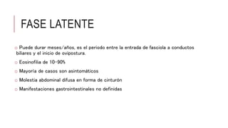 FASE LATENTE
o Puede durar meses/años, es el periodo entre la entrada de fasciola a conductos
biliares y el inicio de ovipostura.
o Eosinofilia de 10-90%
o Mayoría de casos son asintomáticos
o Molestia abdominal difusa en forma de cinturón
o Manifestaciones gastrointestinales no definidas
 