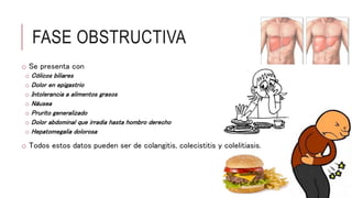 FASE OBSTRUCTIVA
o Se presenta con
o Cólicos biliares
o Dolor en epigastrio
o Intolerancia a alimentos grasos
o Náusea
o Prurito generalizado
o Dolor abdominal que irradia hasta hombro derecho
o Hepatomegalia dolorosa
o Todos estos datos pueden ser de colangitis, colecistitis y colelitiasis.
 