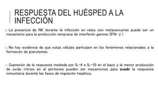 RESPUESTA DEL HUÉSPED A LA
INFECCIÓN
o La presencia de NK durante la infección en ratas con metacercarias puede ser un
mecanismo para la producción temprana de interferón gamma (IFN-γ).
o No hay evidencia de que estas células participen en los fenómenos relacionados a la
formación de granulomas.
o Supresión de la respuesta mediada por IL-4 e IL-10 en el bazo y la menor producción
de oxido nítrico en el peritoneo pueden ser mecanismos para evadir la respuesta
inmunitaria durante las fases de migración hepática.
 