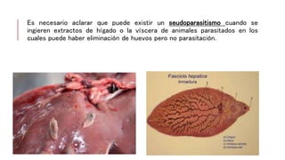 Es necesario aclarar que puede existir un seudoparasitismo cuando se
ingieren extractos de hígado o la víscera de animales parasitados en los
cuales puede haber eliminación de huevos pero no parasitación.
 