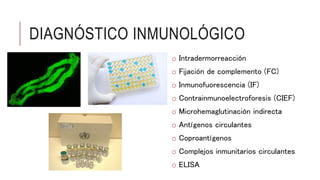 DIAGNÓSTICO INMUNOLÓGICO
o Intradermorreacción
o Fijación de complemento (FC)
o Inmunofuorescencia (IF)
o Contrainmunoelectroforesis (CIEF)
o Microhemaglutinación indirecta
o Antígenos circulantes
o Coproantígenos
o Complejos inmunitarios circulantes
o ELISA
 