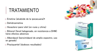 TRATAMIENTO
o Emetina (alcaloide de la ipecacuana)*
o Dehidroemetina
o Hexacloro-para-xilol (en rusia y china)
o Bitionol (fenol halogenado, en resistencia a DHM)
tiene efectos adversos
o Albendazol (bencimidazol de amplio espectro, uso
en ganado)
o Praziquantel (dudosos resultados)
 