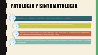 PATOLOGIA Y SINTOMATOLOGIA
Los adultos se encuentran principalmente enquistados en el tejido retroperitoneal, con escasa reacción tisular
La patogenicidad de M. ozzardi no es bien conocida. Se le reconocen manifestaciones clínicas inespecíficas
que afectan la calidad de vida de los pacientes
La infección cursa con fiebre, cefalea, mialgias, artralgias, adenopatías, astenia, prurito cutáneo, los cuales también pueden estar presentes en
otras enfermedades tropicales prevalentes en la región, como dengue o malaria
La mayoría de las personas infectadas tolera bien los parásitos, aunque se señalan reacciones alérgicas atribuibles a la microfilaremia o a los adultos, y
eosinofilia elevada.
 